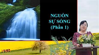 Bác Sĩ Lưu Thị Hoàng Anh