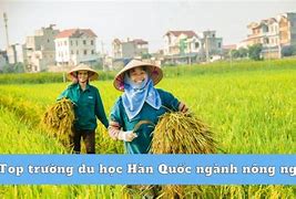 Đơn Nông Nghiệp Hàn Quốc Lấy Bao Nhiêu Điểm