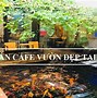 Minori Cafe Đà Nẵng