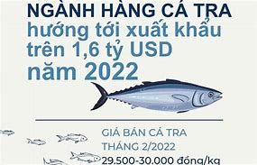 Xuất Khẩu Cá Tra 6/2022 Giá Bao Nhiêu Tại Mỹ Hôm Nay